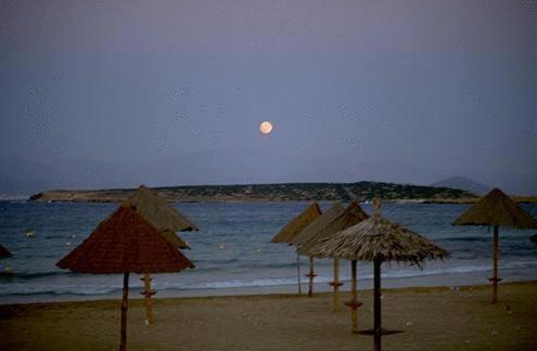 Surfing Beach Huts Santa Maria  Dış mekan fotoğraf