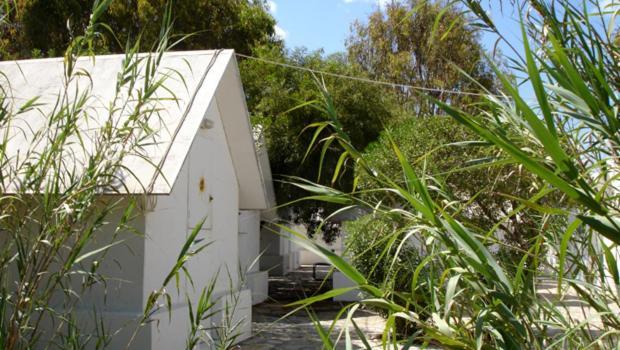 Surfing Beach Huts Santa Maria  Dış mekan fotoğraf